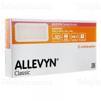 ALLEVYN GENTLE BORDER 10X20 10