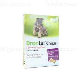 DRONTAL CHIEN CP BTE2