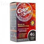 LES 3 CH&Ecirc;NES Beaut&eacute; Color & Soin Coloration permanente aux extraits v&eacute;g&eacute;taux teinte 4G Ch&acirc;tin dor&eacute;